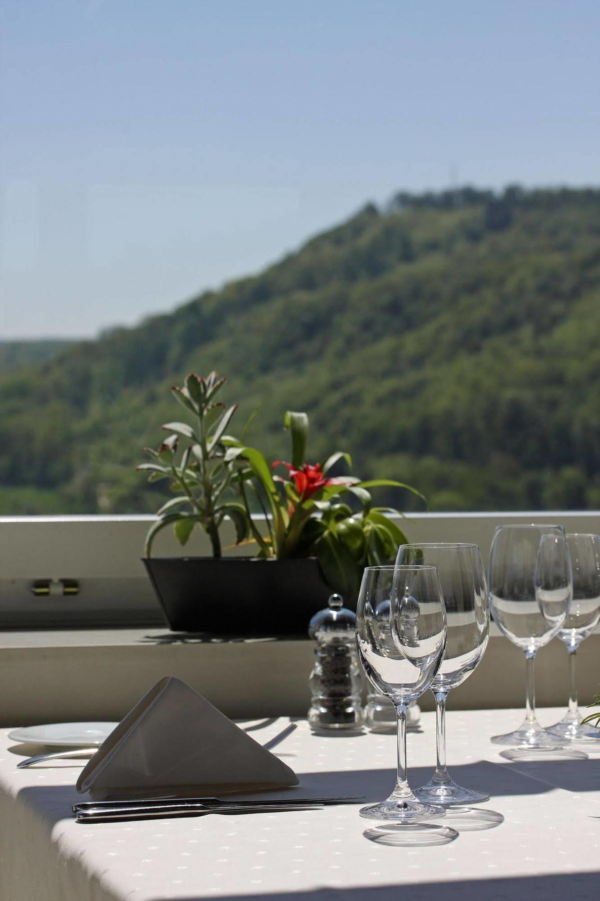 Wellness Hotel Tenedo - Thermalquellen Resort Bad Zurzach Bagian luar foto